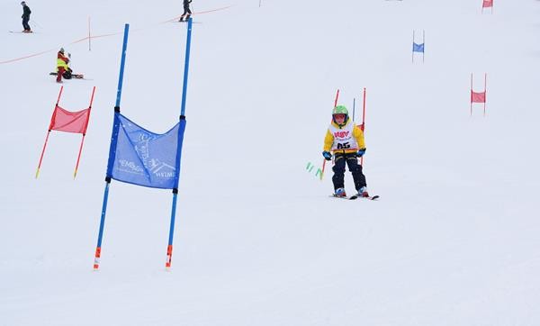 Normal x DSC 0857 (2)